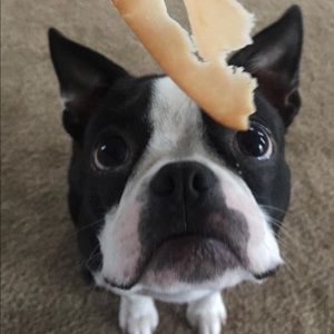 Meet your Posher, Dimitris